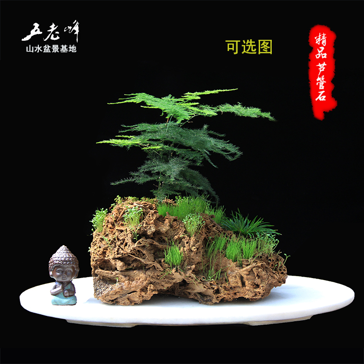 Sheung Shui Stone rough water uptake Rockery stone bonsai natural SHORTS Watch Potted plant landscape bonsaiin the Flower delivery/Flowers simulation/Plants gardening , Gardening supplies , Other Garden Supplies category - from Buy2taobao.com to provide professional Taobao agent buy service