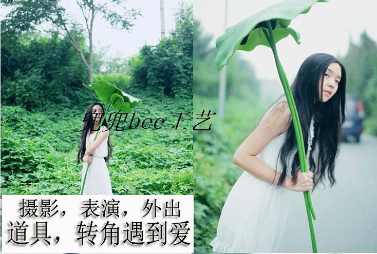 simulation Lotus prop Lotus photograph dance prop Breeze kindergarten prop Lotus leaf umbrella Lotus Green leafin the Home accessories , Vase/Flower/Artificial flowers/Imitation jewelry , DIY Simulation of Materials category - from Buy2taobao.com to provide professional Taobao agent buy service