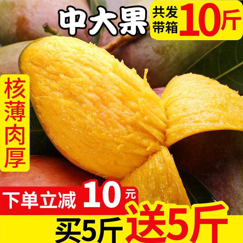 【买一送一】云南非海南贵妃芒果新鲜水果10斤小台黄芒果包邮批发在类目 水产肉类/新鲜蔬果/熟食, 新鲜水果, 芒果中 - 来自Buy2taobao.com提供专业的淘宝代购服务
