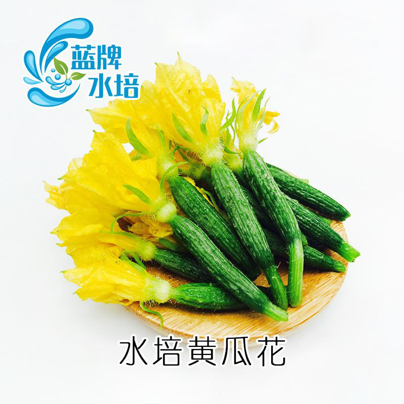 【蓝牌】新鲜蔬菜新鲜荷兰小黄瓜花 顶花 西餐摆盘250g在类目 水产肉类/新鲜蔬果/熟食, 新鲜蔬菜/蔬菜制品, 新鲜蔬菜, 其它中 - 来自Buy2taobao.com提供专业的淘宝代购服务