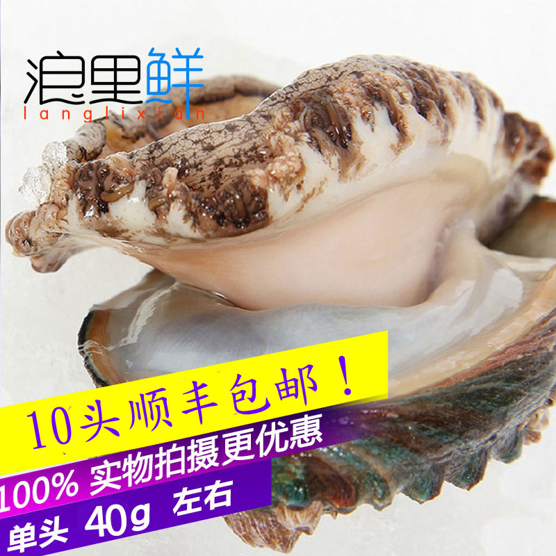 浪里鲜 乳山水产鲍鱼鲜活大鲍鱼40g新鲜大鲍鱼拍10个包邮在类目 水产肉类/新鲜蔬果/熟食, 海鲜/水产品/制品, 贝类, 鲍鱼中 - 来自Buy2taobao.com提供专业的淘宝代购服务