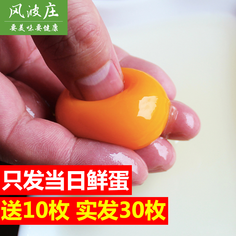 送10枚【风波庄】散养土鸡蛋新鲜林地农家散养笨鸡蛋柴鸡蛋20枚在类目 水产肉类/新鲜蔬果/熟食, 蛋/蛋制品, 鲜活蛋类, 鸡蛋中 - 来自Buy2taobao.com提供专业的淘宝代购服务