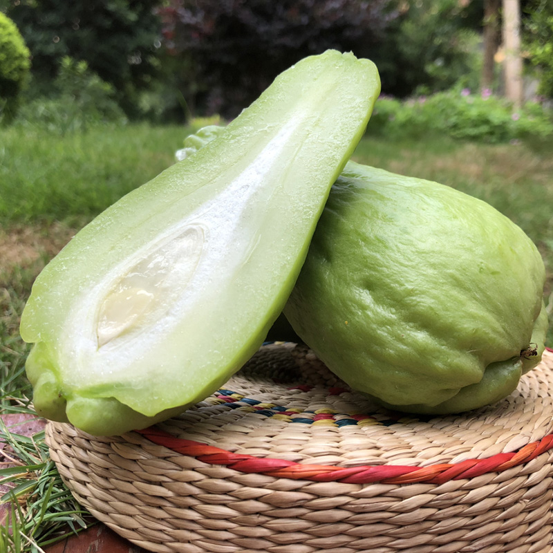 Yunnan Plateau Fresh vegetables Chayote Yang melon Bumper Japanese melon 5 Farmin the Aquatic meat/Fresh fruits and vegetables/Cooked , Fresh vegetables/Vegetable products , Fresh vegetables , Other category - from Buy2taobao.com to provide professional Taobao agent buy service