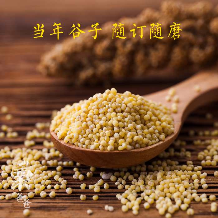 山栗爸爸 山地當年現磨小米1斤/包 2包包郵非轉基因農家老品種在類目 糧油米麪/南北乾貨/調味品, 米/麪粉/雜糧, 米類, 小米中 - 來自Buy2taobao.com提供專業的淘寶代購服務