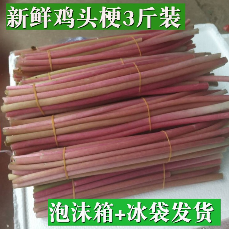 That day Pick fresh Chicken head 3 Chicken farm stalk gorgon fruit Season Vegetablesin the Aquatic meat/Fresh fruits and vegetables/Cooked , Fresh vegetables/Vegetable products , Fresh vegetables , Other category - from Buy2taobao.com to provide professional Taobao agent buy service