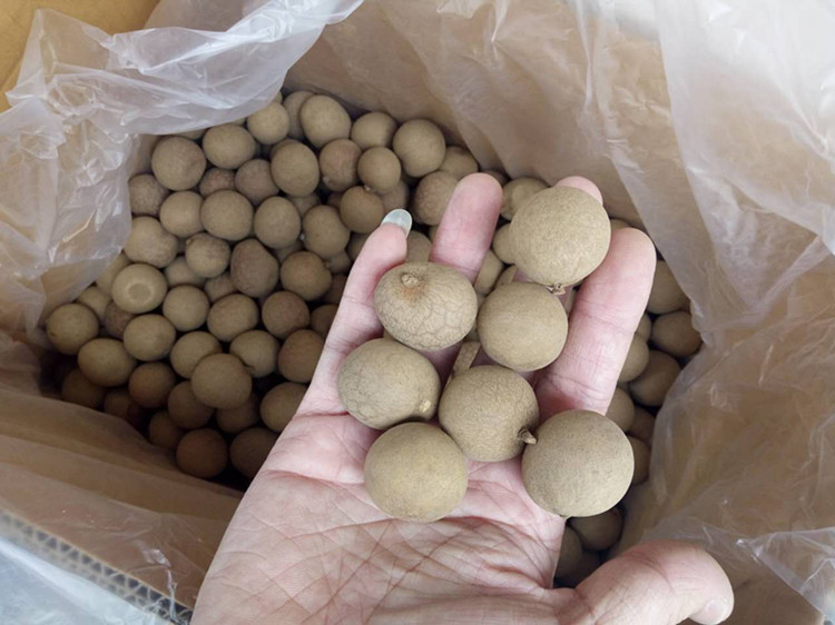 18 New Putian 6A Dried longan snacks Super Dried longan 1 box 20 Wholesale poundsin the Agri rice/Dried foods/Condiment , Dried foods/Meat Dry , Dry/Native , Dried longan/Longan category - from Buy2taobao.com to provide professional Taobao agent buy service