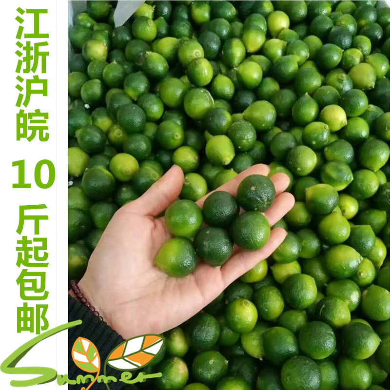 Xiaoqing orange Fresh fruit Hainan Green kumquat(Orange Ice Tea)Hainan Small kumquat Guarantee to pay compensationsin the Aquatic meat/Fresh fruits and vegetables/Cooked , Fresh fruit , Other category - from Buy2taobao.com to provide professional Taobao agent buy service