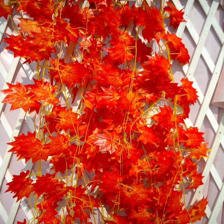 仿真红枫叶装饰藤条绢花藤树枝壁挂吊顶绿枫管道蔓藤绿植物花卉草在类目 鲜花速递/花卉仿真/绿植园艺, 仿真花/绿植/蔬果成品(新), 仿真绿植中 - 来自Buy2taobao.com提供专业的淘宝代购服务