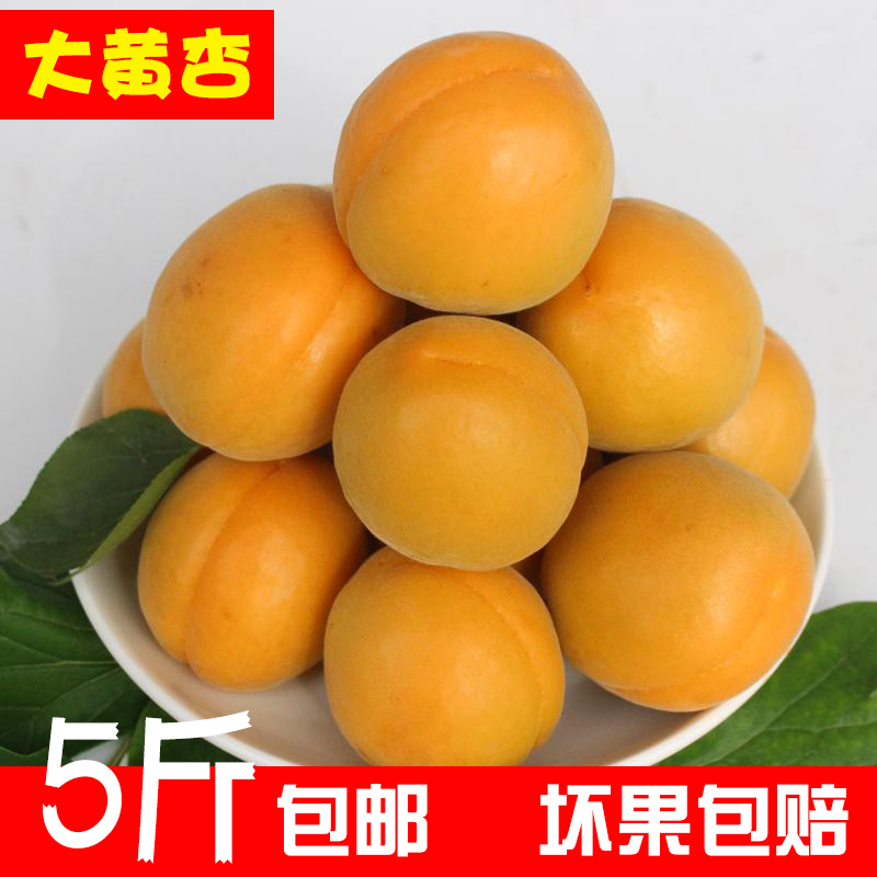 Apricots fresh fruit Apricot pregnant woman fruit Sweet and sour plum Peaches and plums Farm 5 poundsin the Aquatic meat/Fresh fruits and vegetables/Cooked , Fresh fruit , Other category - from Buy2taobao.com to provide professional Taobao agent buy service
