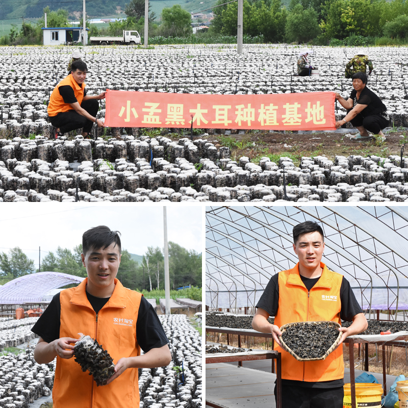 小孟东北野生黑木耳干货小碗2袋500g秋耳包邮纯野生特级散装批發|ruв категории зерно риса/север и Юг сухих грузов/приправы, север и Юг сухих грузов/мясо сухих грузов, сухогрузный/родной, чёрный гриб - от Buy2taobao.com для оказания профессиональной услуги покупки агента Taobao