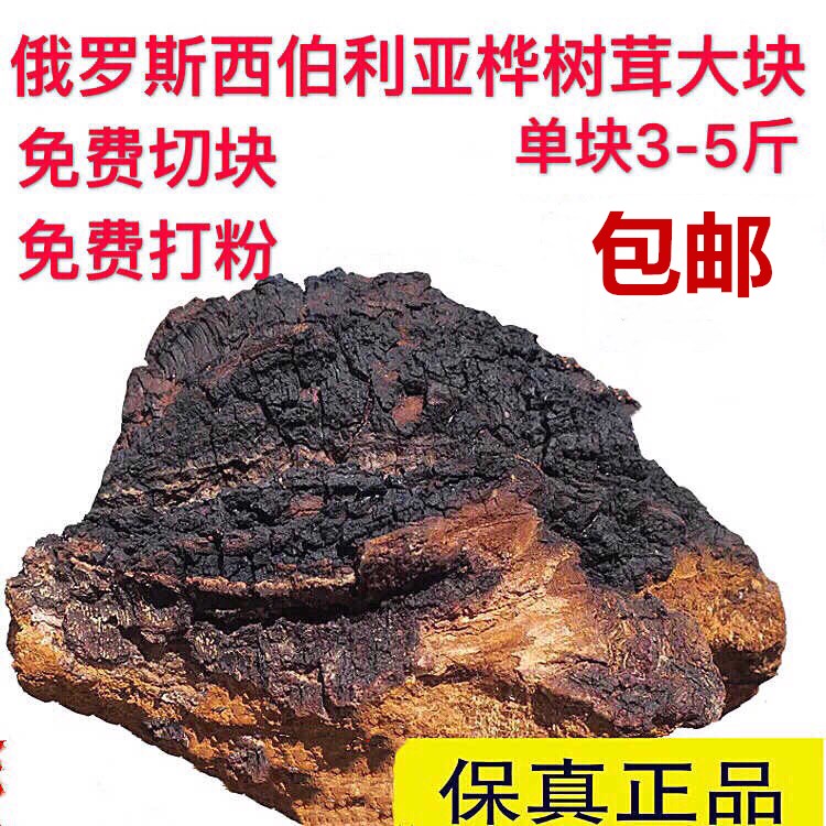 俄羅斯野生白桦茸桦褐孔菌桦樹茸養生茶藥材大塊3-5斤500g包郵在類目 傳統滋補營養品, 養生茶中 - 來自Buy2taobao.com提供專業的淘寶代購服務