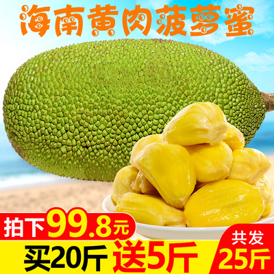 海南黄心菠萝蜜25斤新鲜当季水果黄肉波罗蜜榴莲三亚特产批发包邮