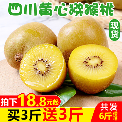 【买1送1】四川黄心猕猴桃带箱6斤 新鲜当季水果奇异果弥猴整包邮
