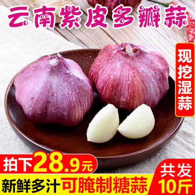 云南紫皮多瓣蒜10斤新鲜大蒜头湿蒜农家糖醋独头干蒜现挖蔬菜包邮