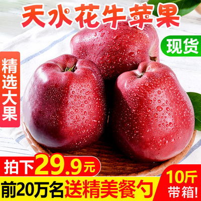【甘福园】甘肃天水花牛苹果水果带箱10斤新鲜红蛇果粉面平果包邮