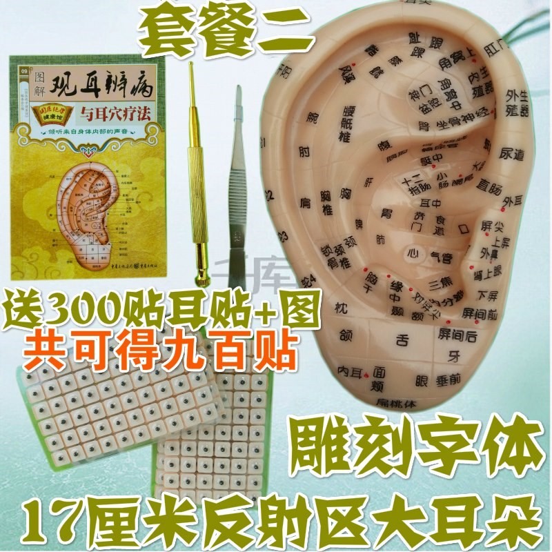 Auricular plaster Wangbuliuxing Ear Ear Beads massage Point Model Ears probein the Flower delivery/Flowers simulation/Plants gardening , Wedding flower arrangement , Flower arches  category - from Buy2taobao.com to provide professional Taobao agent buy service