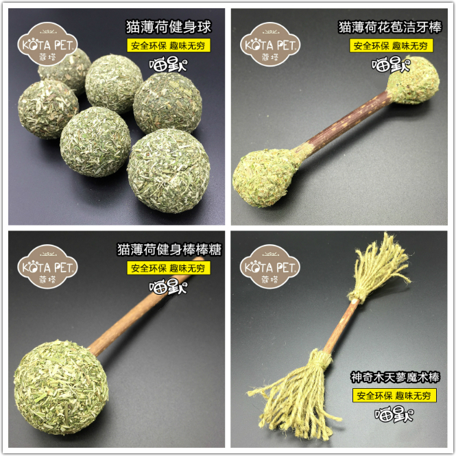 寇塔Kota貓薄荷潔牙球 木天蓼貓咬磨牙棒健齒潔齒 天然環保貓玩具在類目 寵物/寵物食品及用品, 貓/狗玩具, 橡膠球/球形玩具中 - 來自Buy2taobao.com提供專業的淘寶代購服務