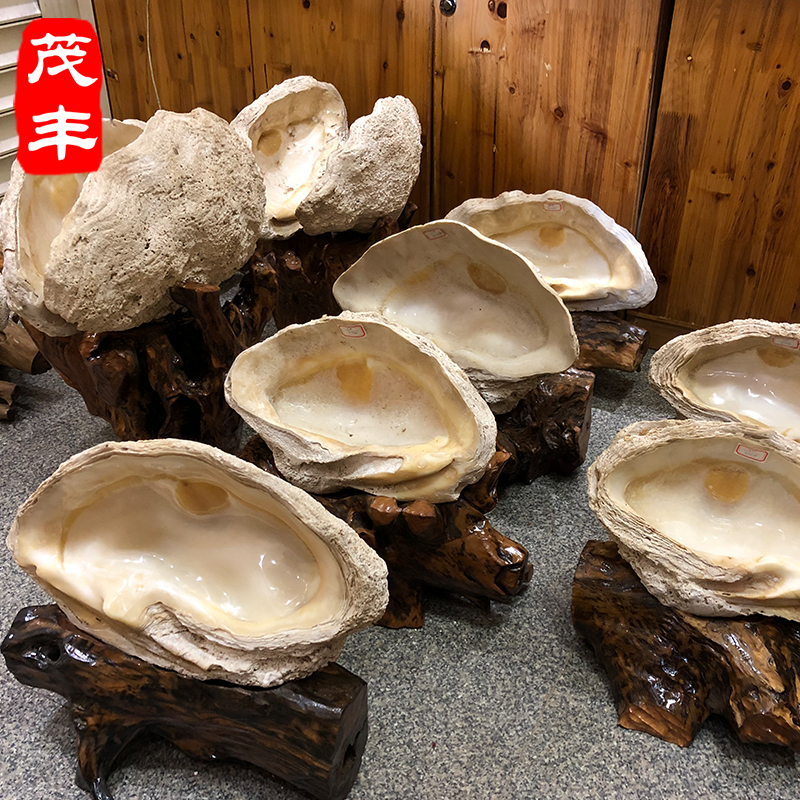海南天然贝壳果盘标本带底座玉化摆件镇宅招财开业送礼送货上门在类目 饰品/流行首饰/时尚饰品新, 摆件中 - 来自Buy2taobao.com提供专业的淘宝代购服务