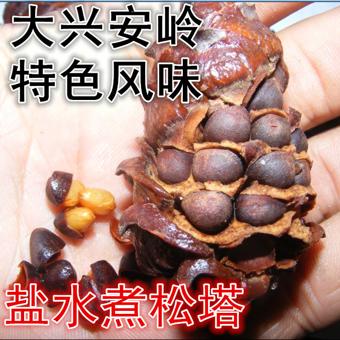 産地大興安嶺原味野生鹽水煮馬尾松塔偃松子500g零食堅果包郵在類目 零食/堅果/特產, 山核桃/堅果/炒貨, 松子中 - 來自Buy2taobao.com提供專業的淘寶代購服務