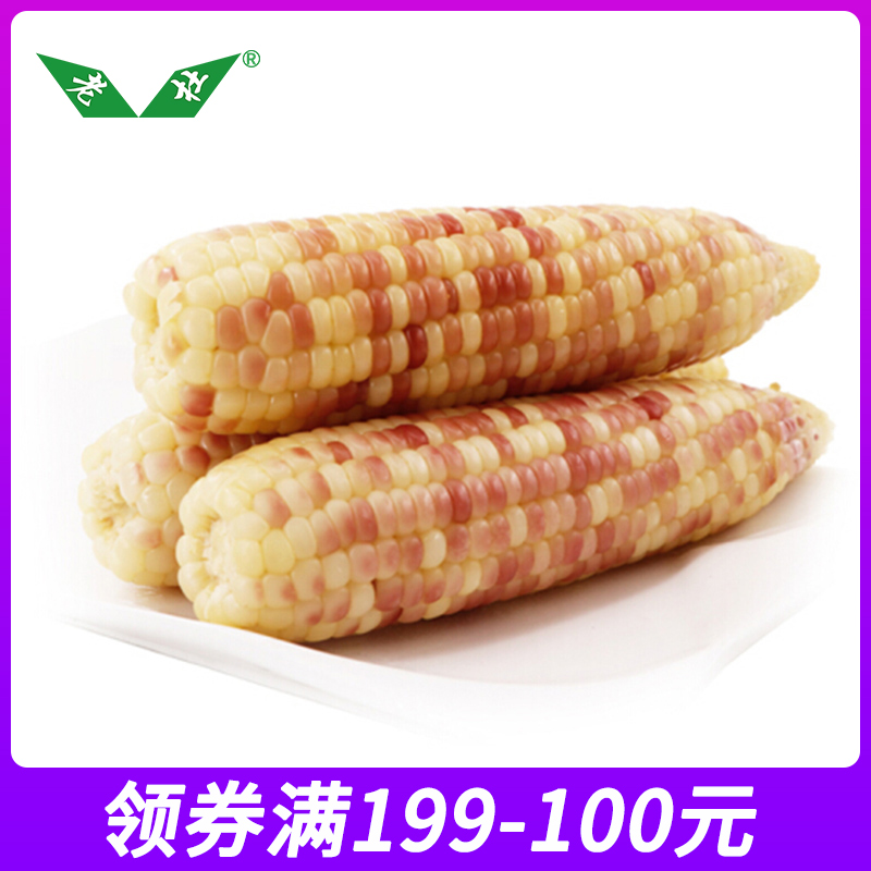 领券199-100元玉米棒140g/根糯玉米甜糯新鲜玉米粘糯米棒在类目 零食/坚果/特产, 山核桃/坚果/炒货, 其它中 - 来自Buy2taobao.com提供专业的淘宝代购服务