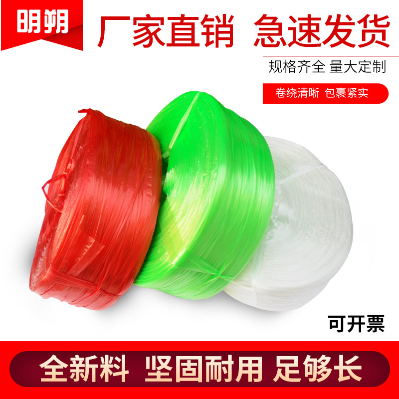 打包绳 草球捆扎绳 撕裂带 全新料塑料绳子 包装绳捆绑绳 扎口绳在类目 鲜花速递/花卉仿真/绿植园艺, 园艺用品, 打草绳等其他绳子中 - 来自Buy2taobao.com提供专业的淘宝代购服务