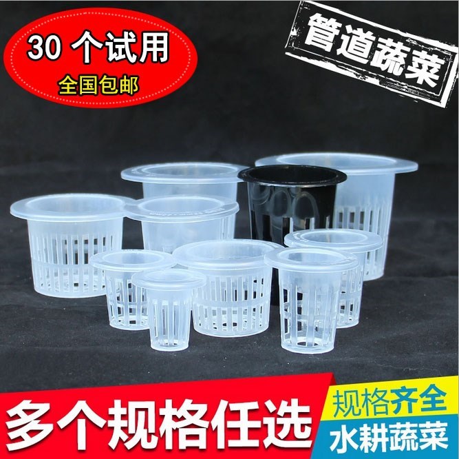 水培定根篮蔬菜花盆定植篮塑料绿萝植物定置篮蔬菜固根器在类目 鲜花速递/花卉仿真/绿植园艺, 园艺用品, 其它园艺用品中 - 来自Buy2taobao.com提供专业的淘宝代购服务
