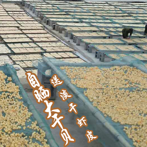 野生大干贝特级瑶柱扇贝丁青岛干货自晒无盐淡干海产元贝250g包邮在类目 水产肉类/新鲜蔬果/熟食, 海鲜/水产品/制品, 贝类, 干贝/瑶柱中 - 来自Buy2taobao.com提供专业的淘宝代购服务