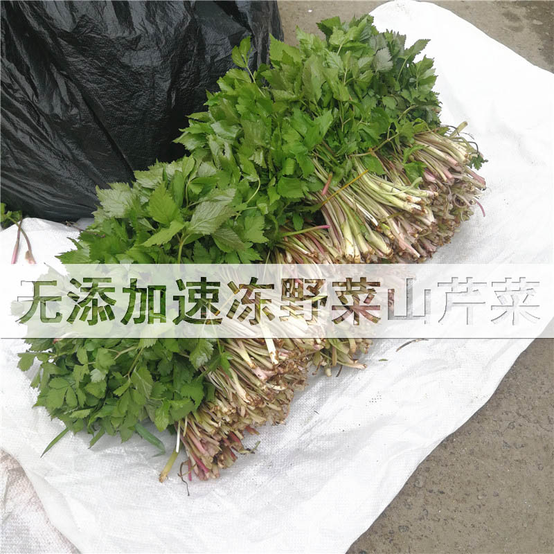 東北山菜新鮮山野菜速凍大葉芹山芹菜2斤包郵應季新鮮過季速凍在類目 水產肉類/新鮮蔬果/熟食, 新鮮蔬菜/蔬菜製品, 新鮮蔬菜, 其它中 - 來自Buy2taobao.com提供專業的淘寶代購服務