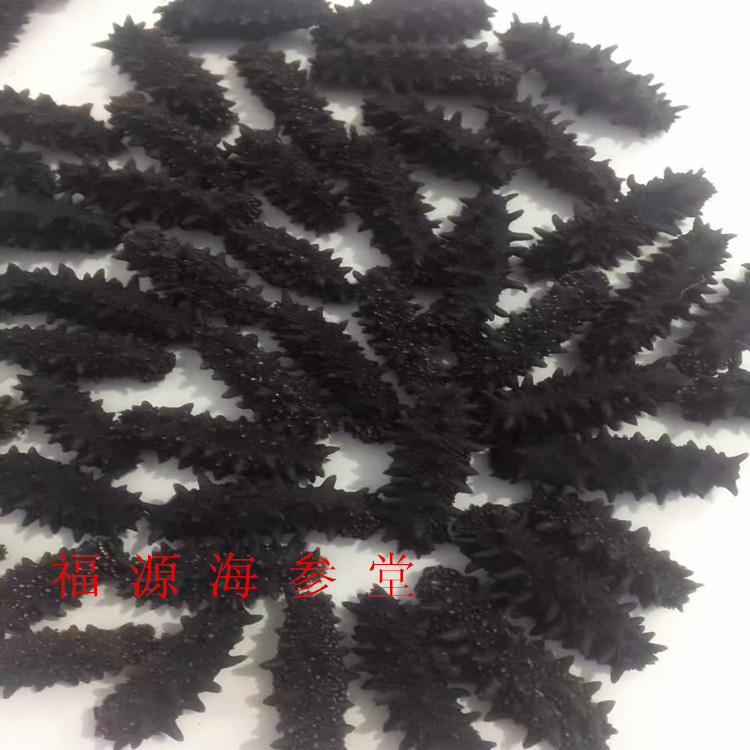 Russia Wild 8 400 Sea cucumber 5.50 element/Only full 100 Only mail,in the Traditional nourishing food , Sea cucumber , Dried sea cucumber category - from Buy2taobao.com to provide professional Taobao agent buy service