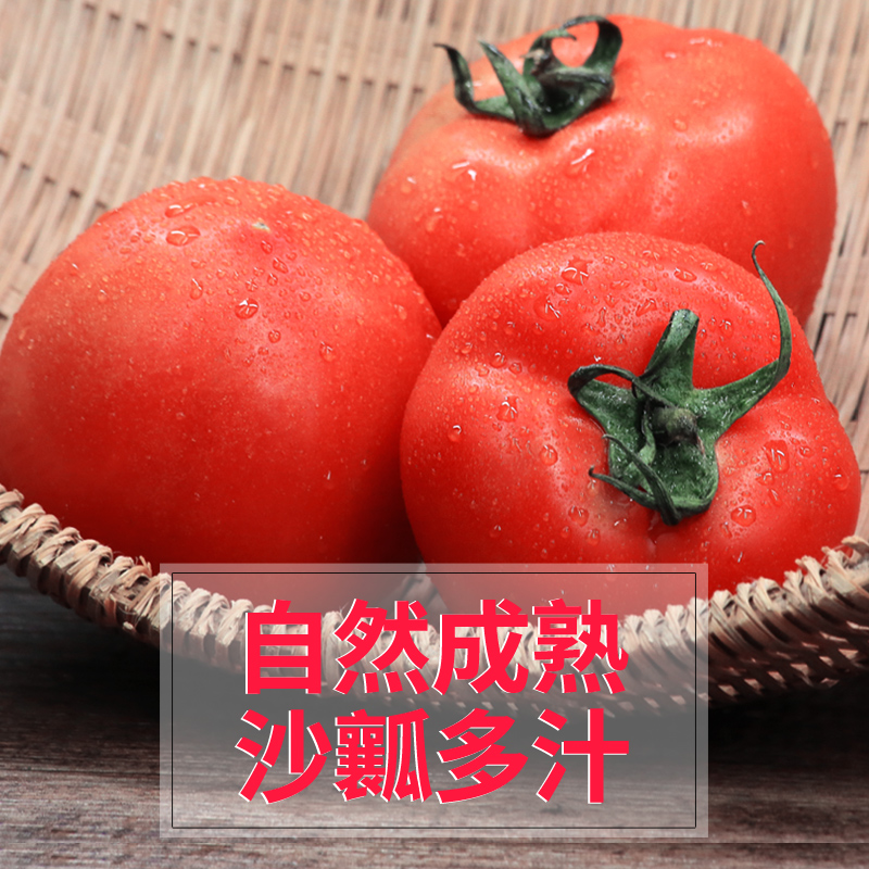 喜乐田园 农家西红柿500g新鲜现摘 自然熟蔬菜农产农家洋柿子在类目 水产肉类/新鲜蔬果/熟食, 新鲜蔬菜/蔬菜制品, 新鲜蔬菜, 其它中 - 来自Buy2taobao.com提供专业的淘宝代购服务