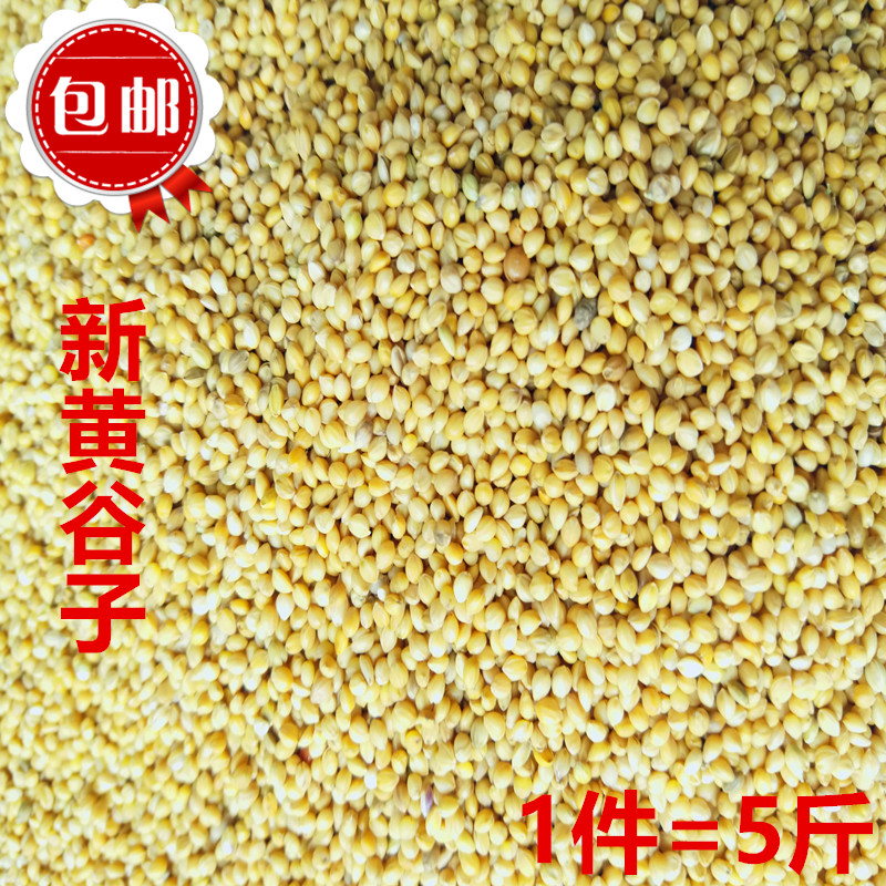 虎皮鹦鹉饲料鸟粮玄凤谷子牡丹粮食文鸟带壳小米黄雀鸟粮包邮5斤在类目 宠物/宠物食品及用品, 鸟类及用品, 鸟食中 - 来自Buy2taobao.com提供专业的淘宝代购服务