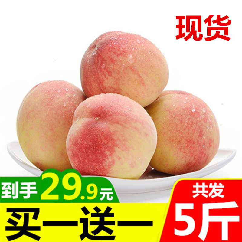 现摘现发桃子当季水果新鲜应季毛桃孕妇脆桃水蜜桃甜非黄血桃包邮在类目 水产肉类/新鲜蔬果/熟食, 新鲜水果, 桃中 - 来自Buy2taobao.com提供专业的淘宝代购服务