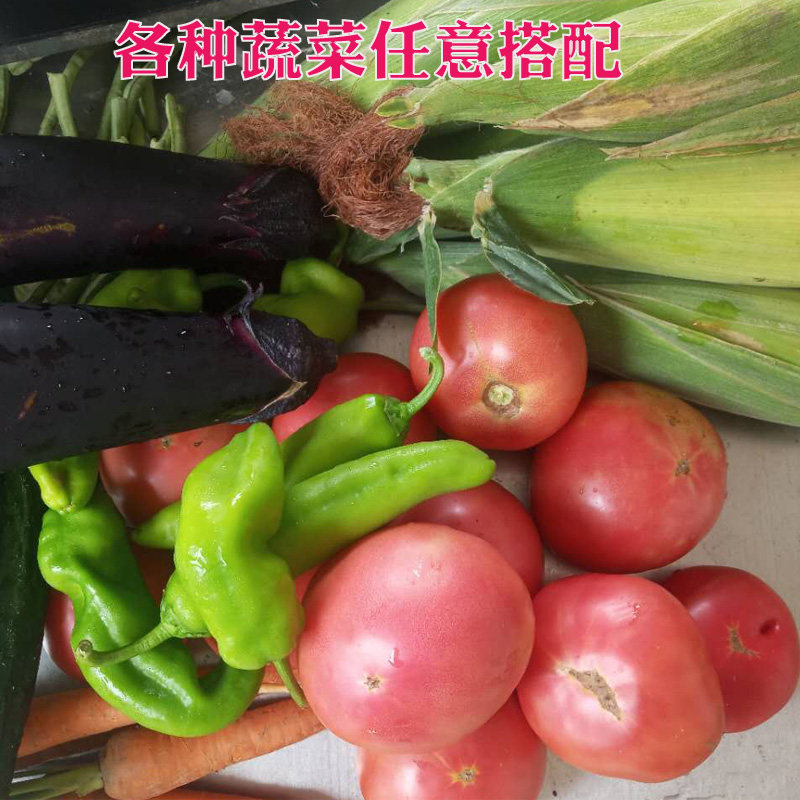 自然熟西红柿农家自种黄瓜茄子辣椒芸豆任选五斤有机菜无公害包邮在类目 水产肉类/新鲜蔬果/熟食, 新鲜蔬菜/蔬菜制品, 新鲜蔬菜, 其它中 - 来自Buy2taobao.com提供专业的淘宝代购服务
