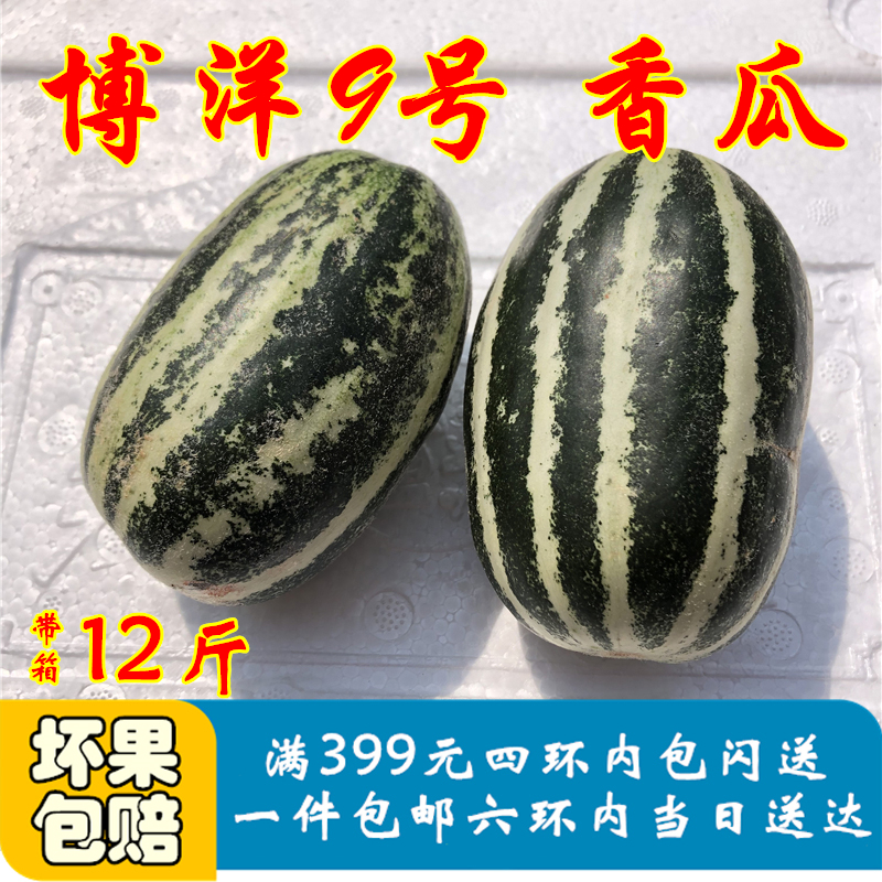 博洋9甜瓜山东玲珑瓜香瓜12斤装新鲜酥脆爽甜当季时令水果京现货在类目 水产肉类/新鲜蔬果/熟食, 新鲜水果, 其它中 - 来自Buy2taobao.com提供专业的淘宝代购服务