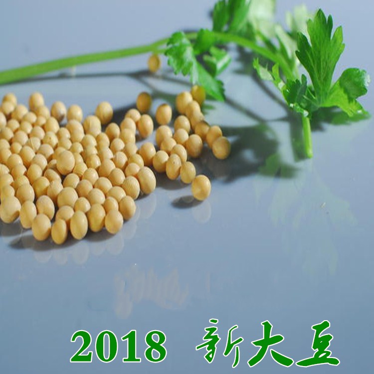 新大豆农村黄豆东北豆浆豆2018年新大豆非转基因|ruв категории зерно риса/север и Юг сухих грузов/приправы, метров/муки/зерновые, фасоль, соя - от Buy2taobao.com для оказания профессиональной услуги покупки агента Taobao