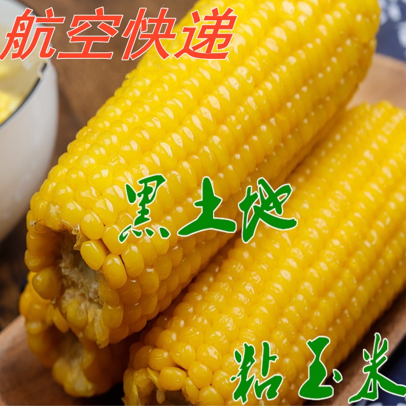 fresh Sticky corn Sweet glutinous rice Corn Northeast Sticky corn 1 5 2 Non-GM Quick-frozen cornin the Aquatic meat/Fresh fruits and vegetables/Cooked , Fresh vegetables/Vegetable products , Fresh vegetables , Fresh corn category - from Buy2taobao.com to provide professional Taobao agent buy service