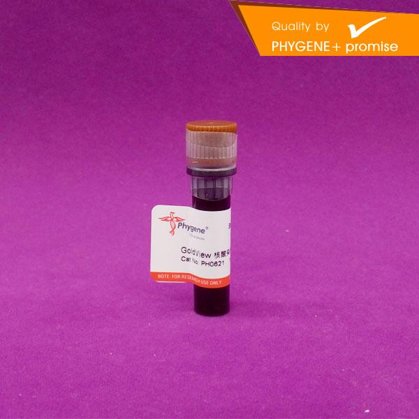 PH0621 GoldView 核酸染色剂 10000× 核酸染料 Phygene 可开票|msdalam kategori peralatan pejabat/Supplies/Perkhidmatan yang berkaitan, Supplies lain, lain - dari Buy2taobao.com untuk memberikan perkhidmatan ejen Taobao profesional membeli