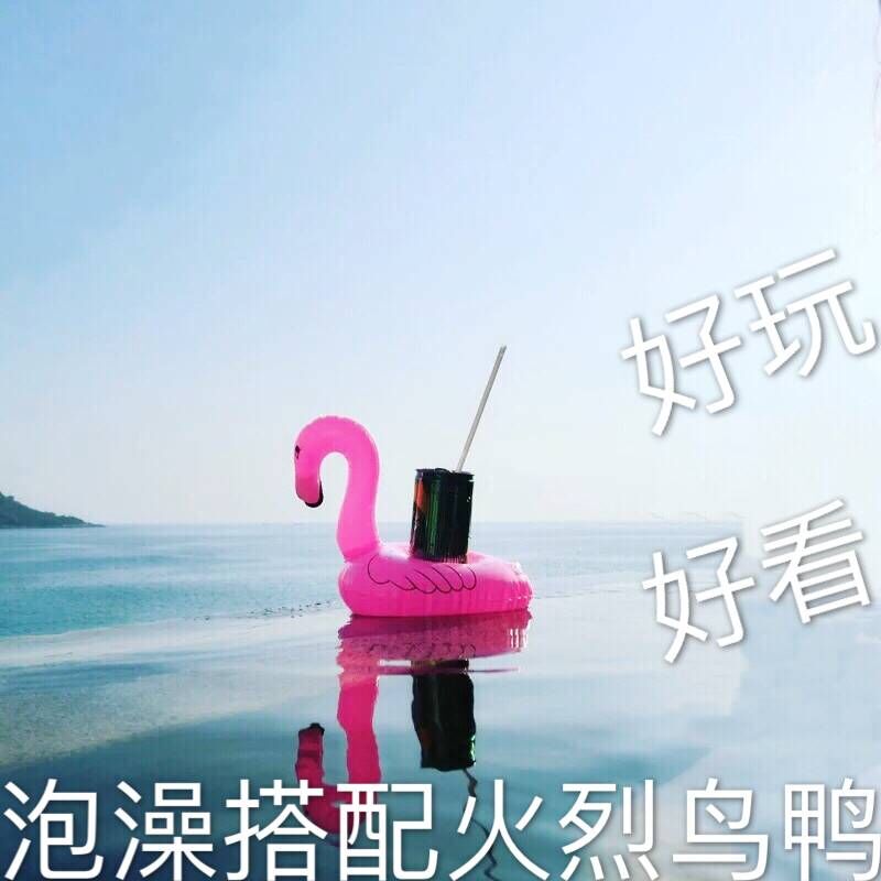 火烈鸟~水中游啊游 好玩~~好看~~~背上可放饮料~|msdalam kategori sukan/Yoga/kecergasan/bekalan peminat, berenang, tayar ganti - dari Buy2taobao.com untuk memberikan perkhidmatan ejen Taobao profesional membeli