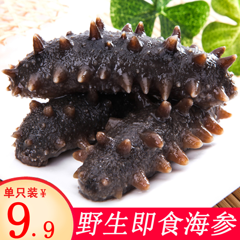 即食海参一只装15-25克 大连野生海参 即食礼盒纯天然辽刺参特产在类目 水产肉类/新鲜蔬果/熟食, 海鲜/水产品/制品, 海参中 - 来自Buy2taobao.com提供专业的淘宝代购服务