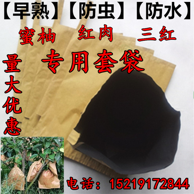 双三层30/32*37柚子套袋红肉三红密柚金柚果袋柚子专用套袋防虫鸟