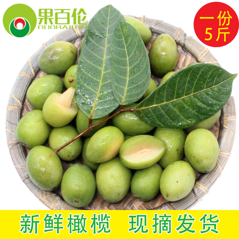 Guobailun Green olives 5 pounds Fujian fresh olive Olive Fresh fruit Olive Olive Vegetablein the Aquatic meat/Fresh fruits and vegetables/Cooked , Fresh fruit , Other category - from Buy2taobao.com to provide professional Taobao agent buy service