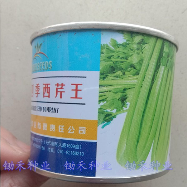 四季西芹種子皇後實芹菜種子小香芹農家菜園大田蔬菜種子白芹種子在類目 農用物資, 種子/種苗, 蔬菜種子中 - 來自Buy2taobao.com提供專業的淘寶代購服務