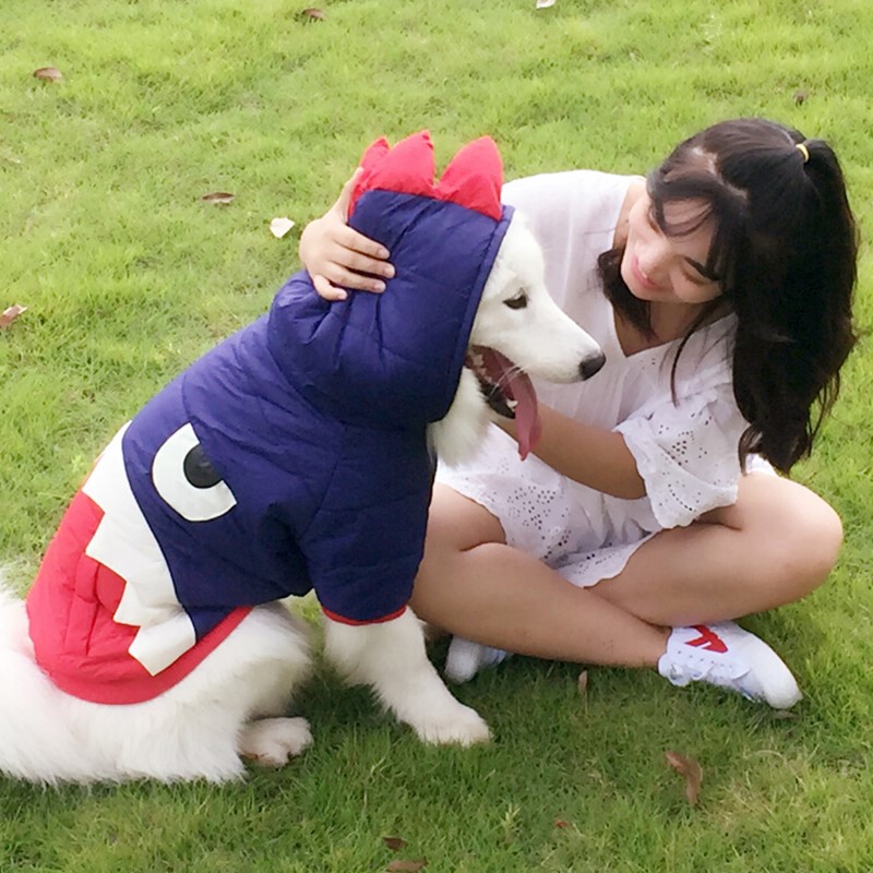 。优质大狗衣服冬装加厚拉布拉多小金毛中型大型犬边牧柴犬狗狗棉|ruв категории животное/Животное питание и принадлежностей, одежды и аксессуаров для домашних животных, домашний костюм/плащ - от Buy2taobao.com для оказания профессиональной услуги покупки агента Taobao