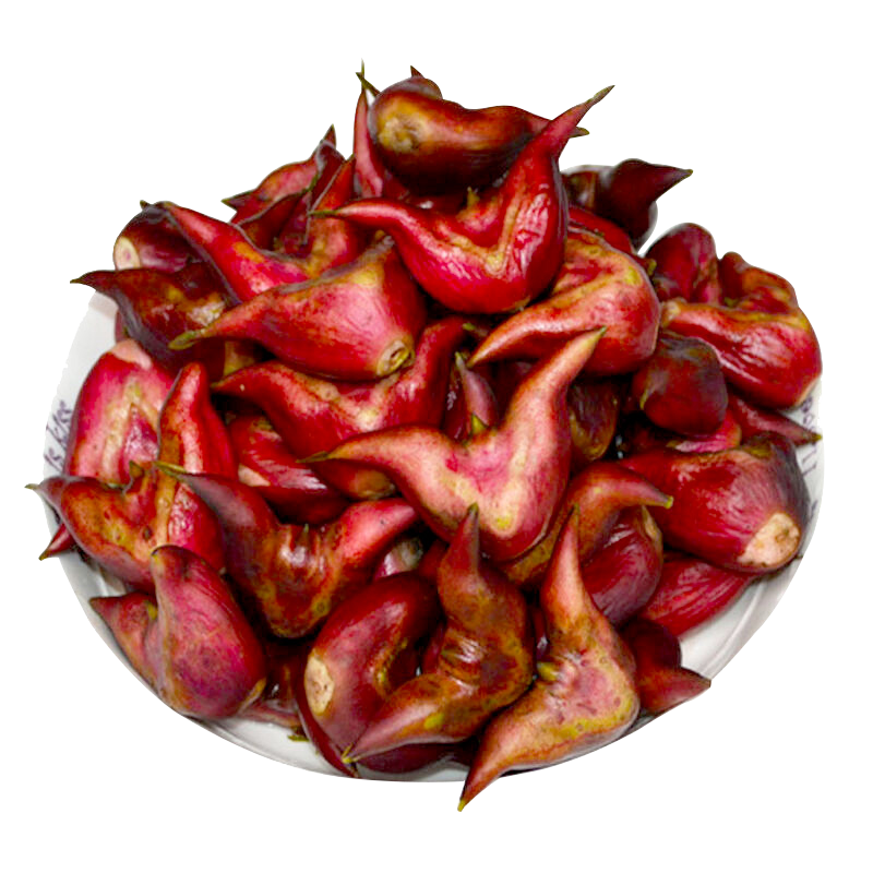 湖北洪湖菱角现采现发粉糯清香老菱角带壳菱角新鲜蔬菜2.5kg|msdalam kategori daging perikanan/Buah-buahan segar dan sayur-sayuran/dimasak, sayur-sayuran segar/Vegetable Products, sayur-sayuran segar, lain - dari Buy2taobao.com untuk memberikan perkhidmatan ejen Taobao profesional membeli