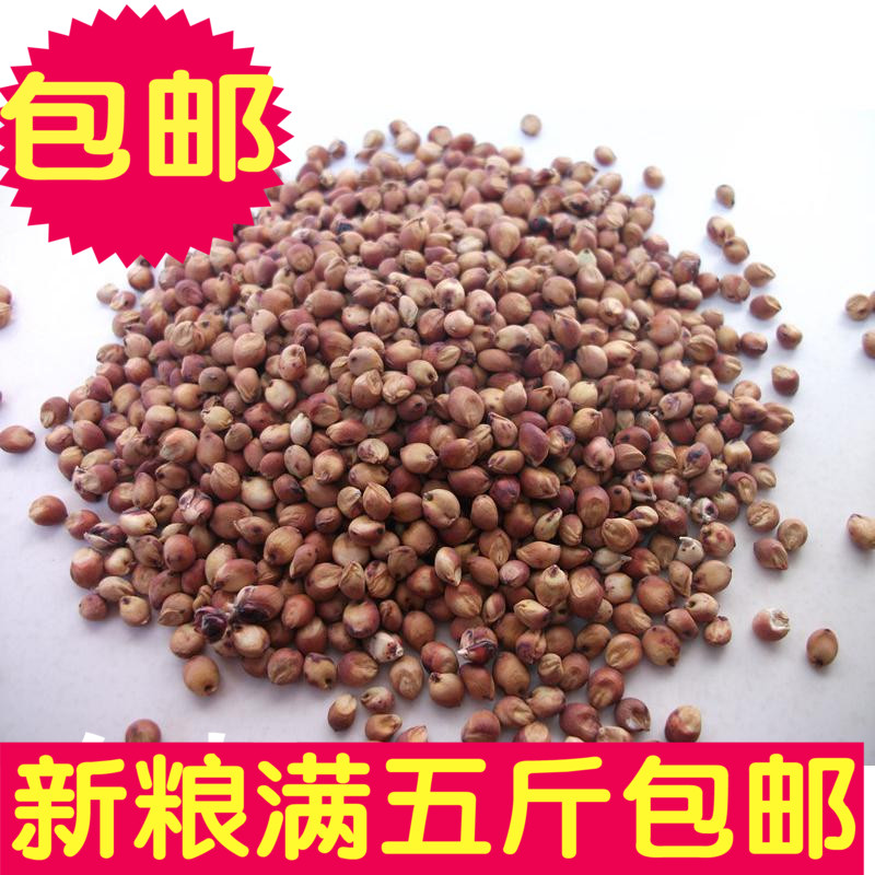 新红高粱 带皮高梁 鹦鹉 鸟食鸟粮 鸽子仓鼠饲料 满 5斤包邮在类目 宠物/宠物食品及用品, 鸟类及用品, 鸟食中 - 来自Buy2taobao.com提供专业的淘宝代购服务