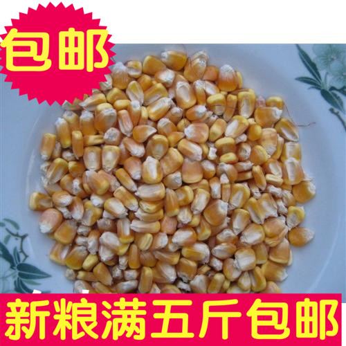 手工瓤成 胚芽完好 玉米 适应鸟类 动物好食物 500g 满 5斤包邮|ruв категории зерно риса/север и Юг сухих грузов/приправы, метров/муки/зерновые, кукуруза - от Buy2taobao.com для оказания профессиональной услуги покупки агента Taobao