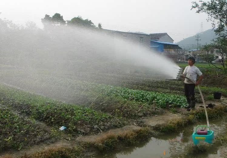 家用水管喷头浇地花洒1寸2寸通用农用浇花浇菜洒水可调雾化喷雾头|ruв категории доставка цветов/цветок моделирования/растения садоводства, садовых принадлежностей, рокер/ландшафт сопло, пластиковые рокер сопло - от Buy2taobao.com для оказания профессиональной услуги покупки агента Taobao