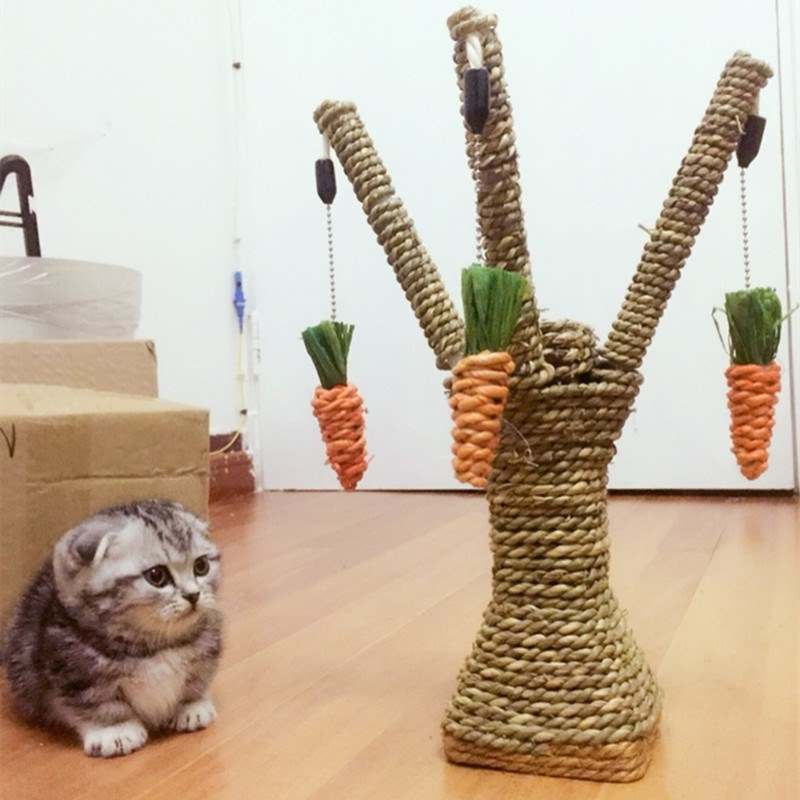 猫架子猫笼多树叉猫抓胡萝卜柱子磨爪器玩具幼猫玩具架可拆卸逗猫在类目 宠物/宠物食品及用品, 猫/狗玩具, 猫抓板中 - 来自Buy2taobao.com提供专业的淘宝代购服务