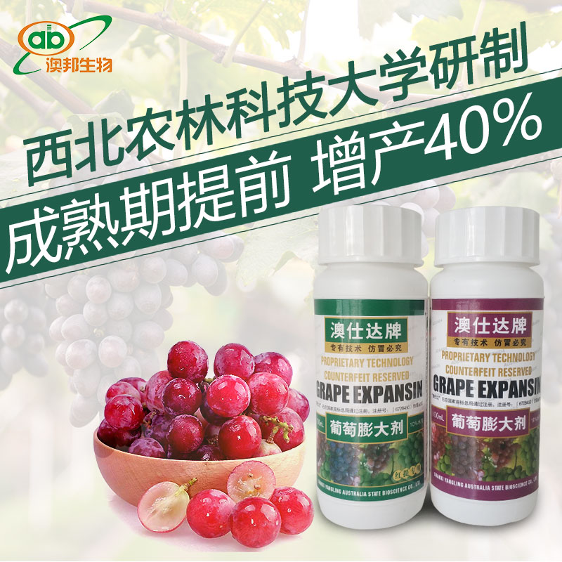 Costar grape Expansin Summer Black Expansion Fujimoto expansin Giant peak dilatant Hutai expansinin the Agricultural goods , Fertilizer , Foliar category - from Buy2taobao.com to provide professional Taobao agent buy service