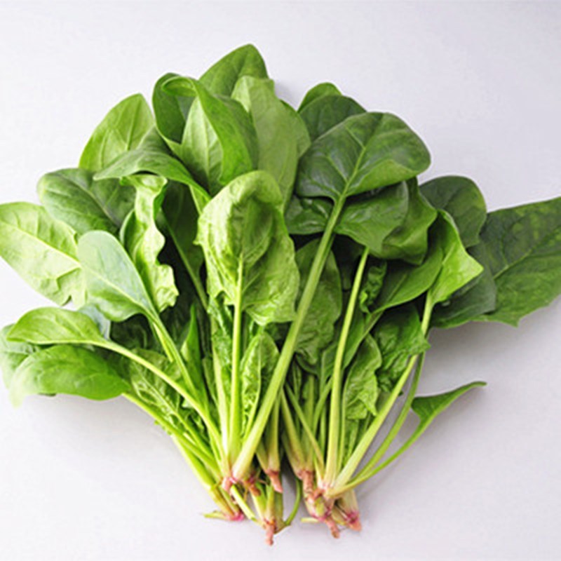 Vegetables seed Four seasons balcony Farm Countryside Vegetables courtyard Spring and summer Package Potted plant coriander seedsin the Office Equipment/Consumables/Related Services , Packaging Equipment/Signs and supplies , Wrapped bags/Bags category - from Buy2taobao.com to provide professional Taobao agent buy service